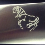 horse horse