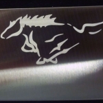 horse2 horse2