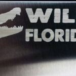 wild_florida wild_florida